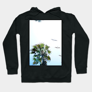 Dream-like Palm and Pelicans Flying Overhead Hoodie